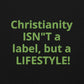 Embroidered hoodie text: Christianity ISN&