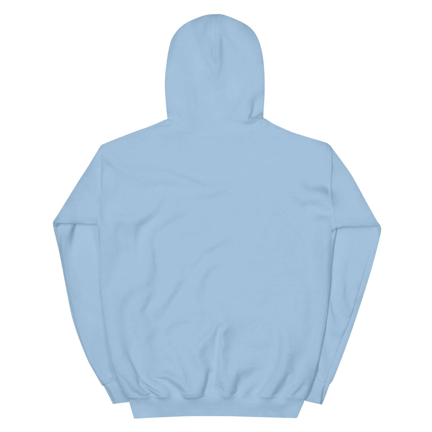 Light blue unisex hoodie from the back, perfect for expressing a Christian lifestyle.