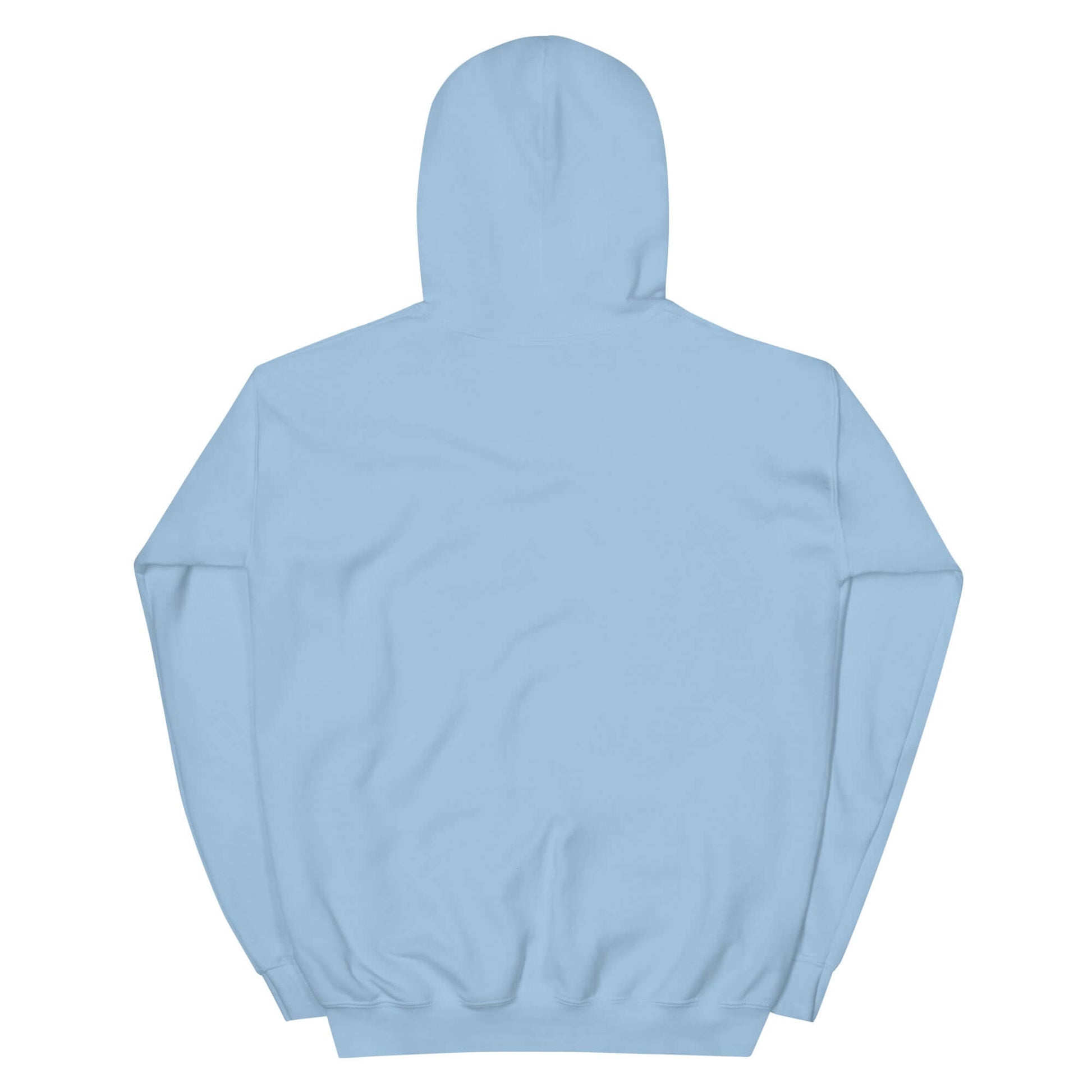 Light blue unisex hoodie from the back, perfect for expressing a Christian lifestyle.