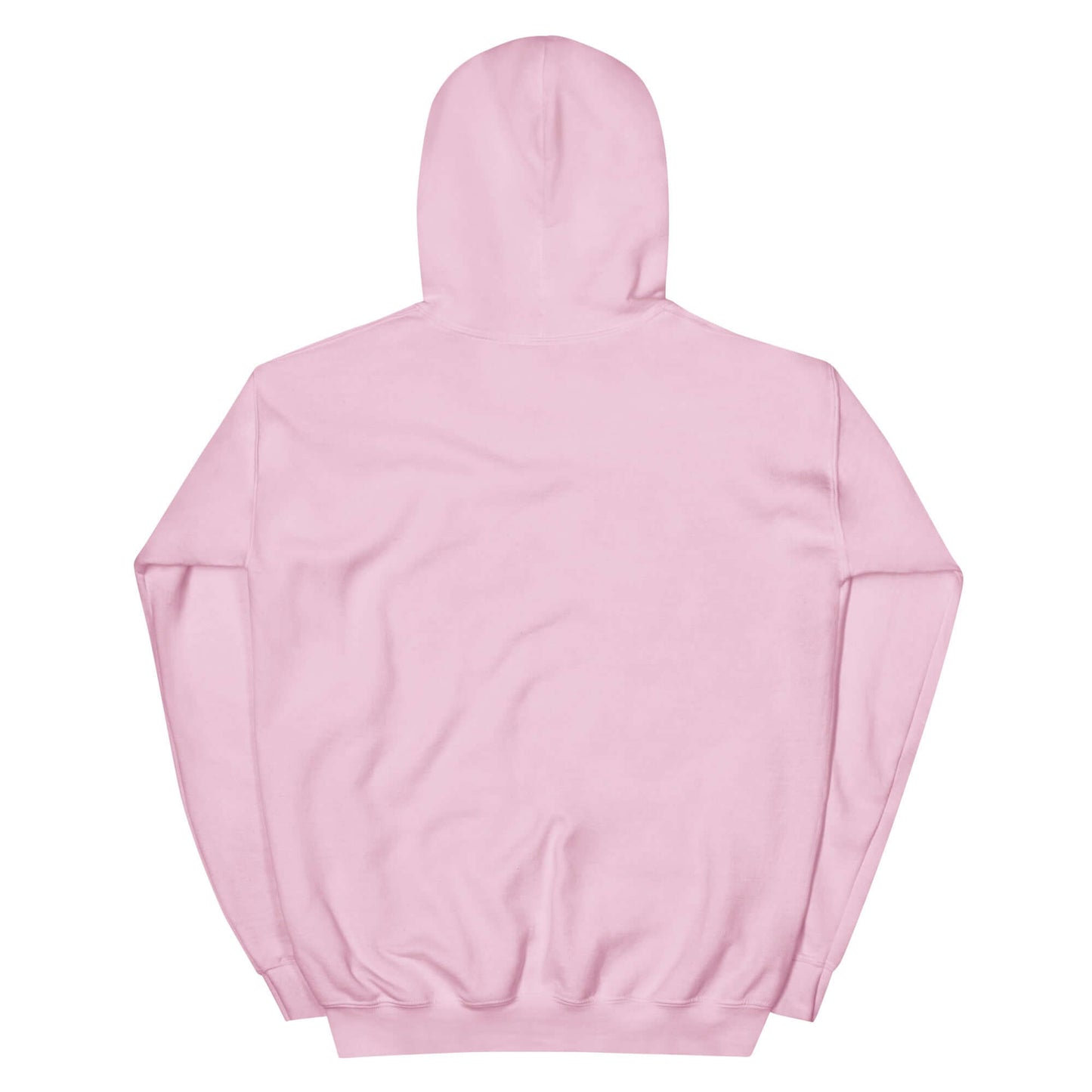 Back view of a pink unisex embroidered hoodie promoting Christianity as a lifestyle.