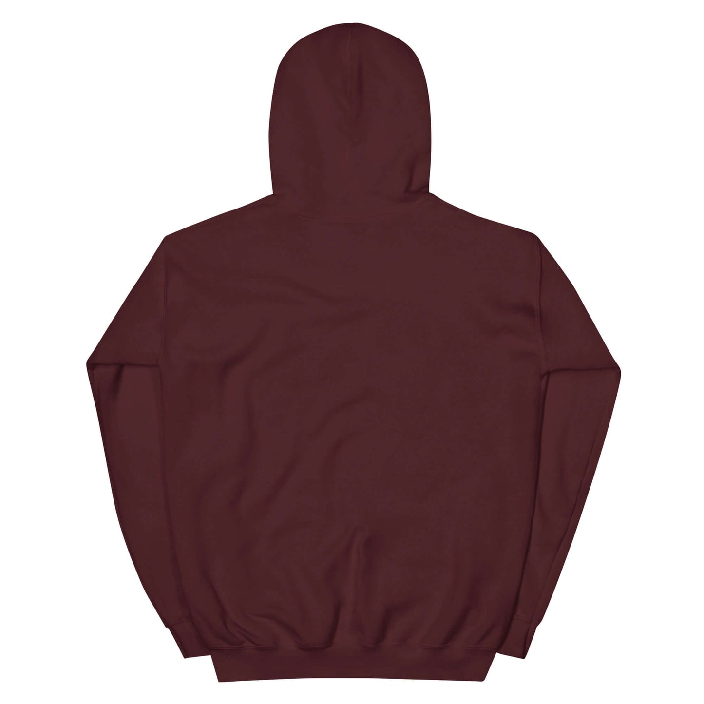 Back view of a unisex brown embroidered hoodie promoting Christianity as a lifestyle.