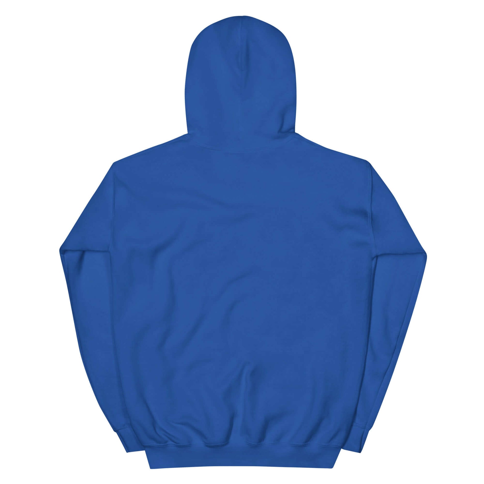 Back view of a blue unisex embroidered hoodie promoting a lifestyle of Christianity.